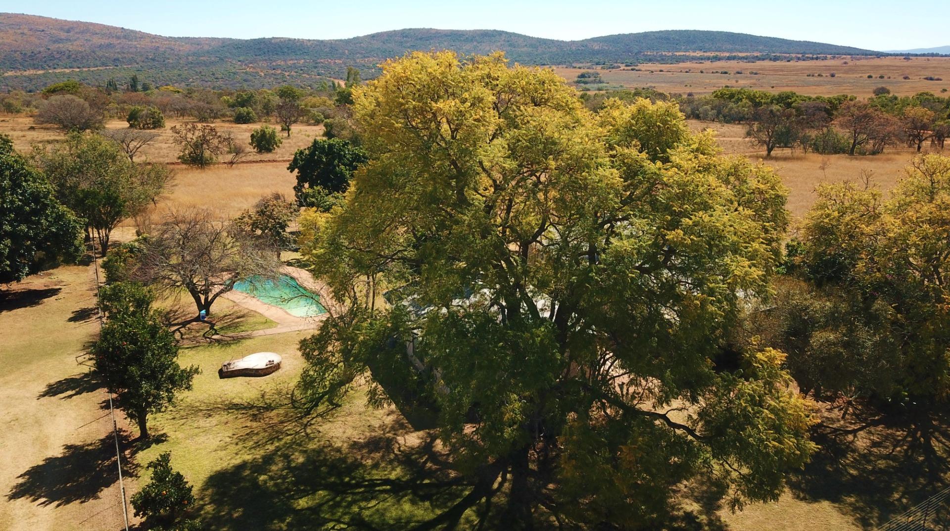 Farm for Sale - Limpopo